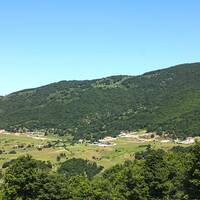 Arasbaran Forest 